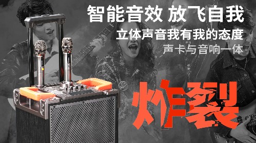 爵士龍F110音響，直播與聚會的首選！