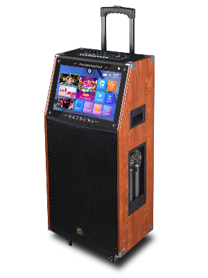 爵士龍F15便攜視頻音響機