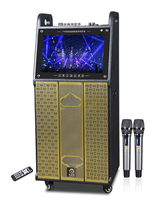 F115聲卡版噴漆系列視頻拉桿音響